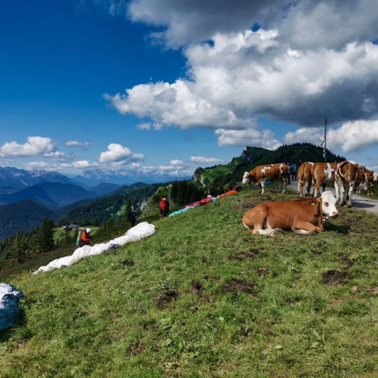 Tandem Paragliding Brauneck - Gleitschirmfliegen